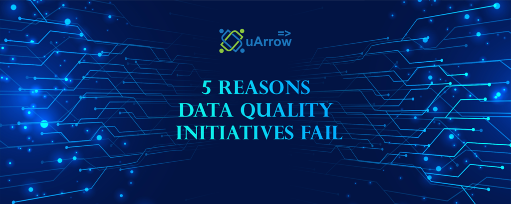 5 Reasons Data Quality Initiatives Fail